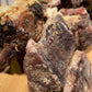 Bison Bones