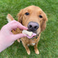 Bark Bites
